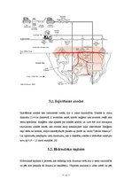 Konspekts 'In situ oksidācijas tehnoloģijas', 11.