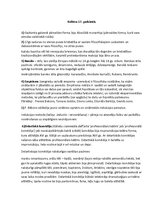 Konspekts 'Kultūra 17.gadsimtā', 1.