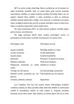 Referāts 'Bērnu ar kustību traucējumiem raksturojums', 3.