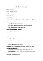 Konspekts 'Mājturības stundas konspekts', 1.