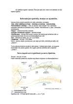 Konspekts 'Psihes bioloģiskie pamati', 2.