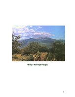 Referāts 'Sengrieķu mitoloģija', 8.