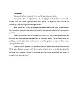 Referāts 'Aptiekā gatavojamas zāles', 6.