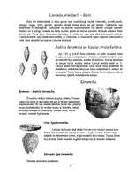 Konspekts 'Latvijas pirmiedzīvotāji līdz 13.gadsimtam', 4.