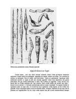 Konspekts 'Latvijas pirmiedzīvotāji līdz 13.gadsimtam', 6.