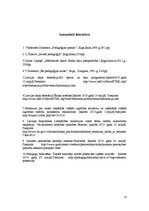 Referāts 'Pedagoga personības loma dejas apmācībā jauniešiem', 23.