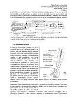 Referāts 'Mūsdienu augšējo ekstremitāšu protēžu (transradiāli) vadīšanas sistēma', 2.