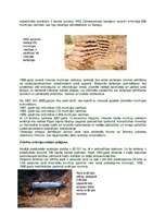 Referāts 'Nesprāgusi munīcija kā militārā piesārņojuma faktors Latvijā', 8.