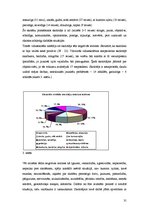 Referāts 'Skolotāja vizuālais tēls pedagoģiskajā saskarsmē', 31.