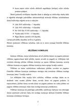 Referāts 'Pašvaldību vēlēšanas', 4.