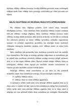 Referāts 'Pašvaldību vēlēšanas', 11.