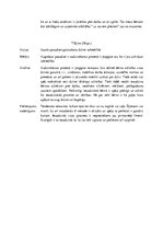 Konspekts 'Audzināšana un tās raksturojums', 5.