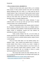 Konspekts 'Hammurapi likumi, inkvizīcijas process, Napoleona kodekss (1804). Paražu tiesība', 11.