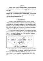 Konspekts 'Celiakijas diagnostika un ārstēšana', 4.