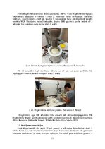 Referāts 'Poliuretāna un poliizocianurāta putu fizikālo īpašību izmaiņas atkarībā no izejv', 11.