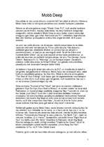 Referāts 'Hip-hops kā mūsdienu kultūras izpausme (izpētes objekts G-Unit)', 7.