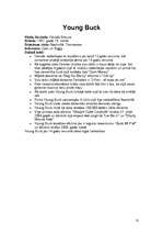 Referāts 'Hip-hops kā mūsdienu kultūras izpausme (izpētes objekts G-Unit)', 10.