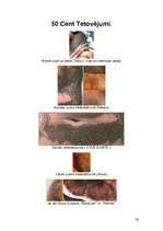 Referāts 'Hip-hops kā mūsdienu kultūras izpausme (izpētes objekts G-Unit)', 20.