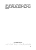 Referāts 'Lielā Shizma', 16.