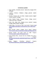 Referāts 'Lielā Shizma', 24.