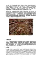 Referāts 'Brazīlija', 8.