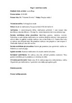 Prakses atskaite 'Prakses dienasgrāmata klīnikā', 1.