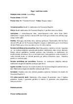 Prakses atskaite 'Prakses dienasgrāmata klīnikā', 2.