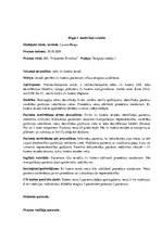 Prakses atskaite 'Prakses dienasgrāmata klīnikā', 3.