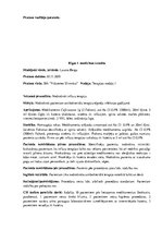 Prakses atskaite 'Prakses dienasgrāmata klīnikā', 5.