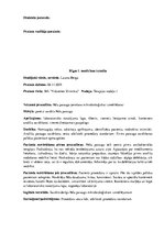 Prakses atskaite 'Prakses dienasgrāmata klīnikā', 6.