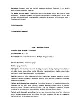 Prakses atskaite 'Prakses dienasgrāmata klīnikā', 8.