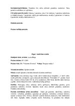 Prakses atskaite 'Prakses dienasgrāmata klīnikā', 9.