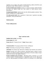 Prakses atskaite 'Prakses dienasgrāmata klīnikā', 10.