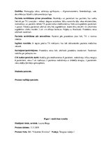 Prakses atskaite 'Prakses dienasgrāmata klīnikā', 13.