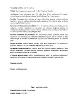 Prakses atskaite 'Prakses dienasgrāmata klīnikā', 14.