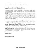 Prakses atskaite 'Prakses dienasgrāmata klīnikā', 15.