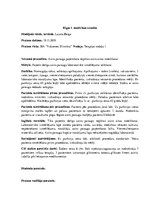 Prakses atskaite 'Prakses dienasgrāmata klīnikā', 18.