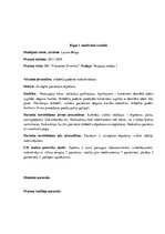 Prakses atskaite 'Prakses dienasgrāmata klīnikā', 19.