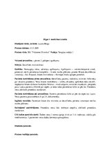 Prakses atskaite 'Prakses dienasgrāmata klīnikā', 20.