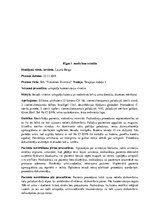 Prakses atskaite 'Prakses dienasgrāmata klīnikā', 21.