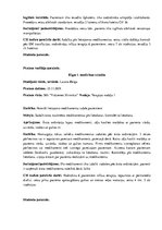 Prakses atskaite 'Prakses dienasgrāmata klīnikā', 22.