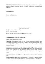 Prakses atskaite 'Prakses dienasgrāmata klīnikā', 24.