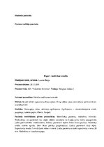 Prakses atskaite 'Prakses dienasgrāmata klīnikā', 25.