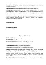 Prakses atskaite 'Prakses dienasgrāmata klīnikā', 26.