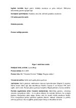 Prakses atskaite 'Prakses dienasgrāmata klīnikā', 27.