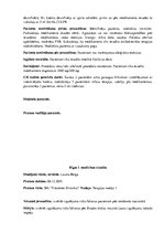 Prakses atskaite 'Prakses dienasgrāmata klīnikā', 29.