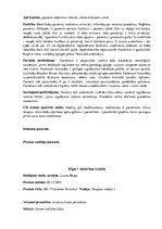 Prakses atskaite 'Prakses dienasgrāmata klīnikā', 30.