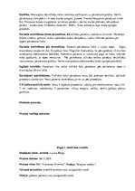 Prakses atskaite 'Prakses dienasgrāmata klīnikā', 31.