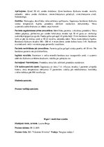 Prakses atskaite 'Prakses dienasgrāmata klīnikā', 32.