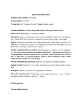 Prakses atskaite 'Prakses dienasgrāmata klīnikā', 36.